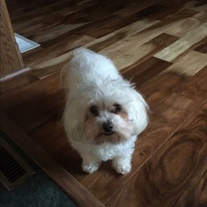 Meet your Posher, Sharon