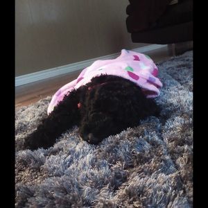 Meet your Posher, Heather