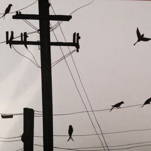 Meet your Posher, Suzanne