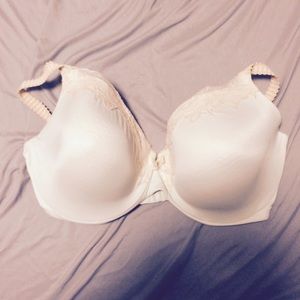 Full Coverage Mint with Cream Lace 38DD Bra