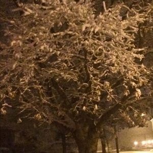 Meet your Posher, Johnny