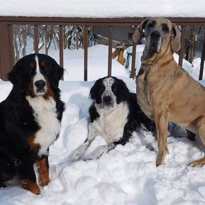 Meet your Posher, Cari