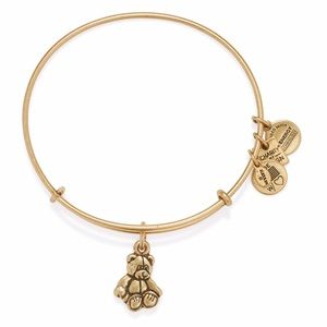 New Alex & Ani Teddy Bear bracelet