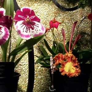 Welcome to my closet!