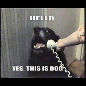 Meet your Posher, Jake