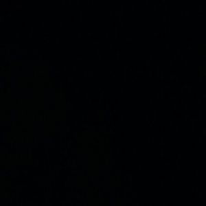 Meet your Posher, Darian