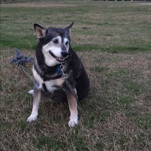 Meet your Posher, Claire