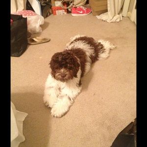 Meet your Posher, Sarah