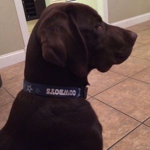 Meet your Posher, Richard