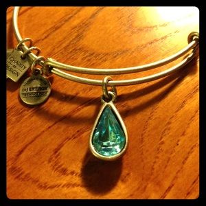 Alex and Ani Living Water Charm Bangle