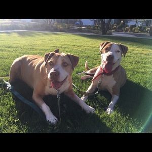 Meet your Posher, Irma