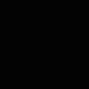 Meet your Posher, Bree