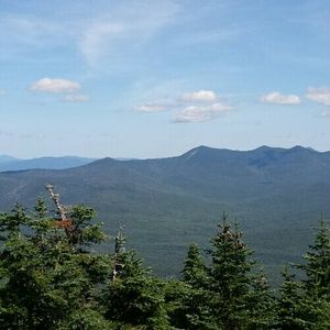 Meet your Posher, Chandler