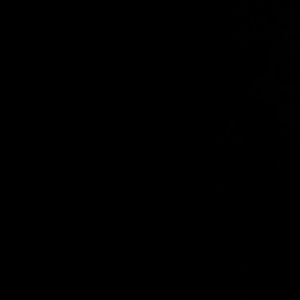 Meet your Posher, Nelly