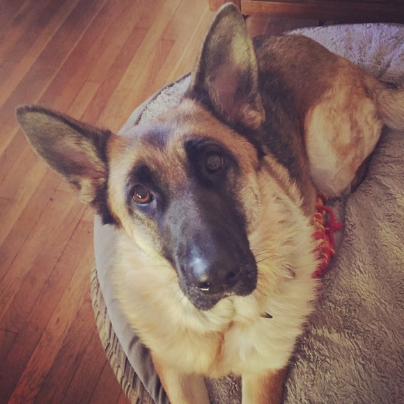 Meet your Posher, Leslie - Picture 1 of 1