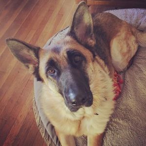 Meet your Posher, Leslie