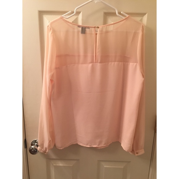 Pale Pink Chiffon Blouse - Picture 3 of 3