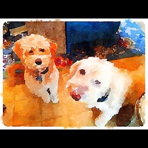 Meet your Posher, Barb