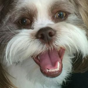 Meet your Posher, Marina