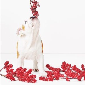 Meet your Posher, Parveen