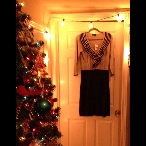 Maxandcleo sweater dress $18 was $110