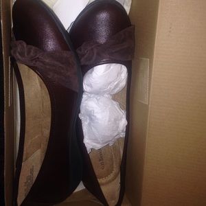 Brown Flats