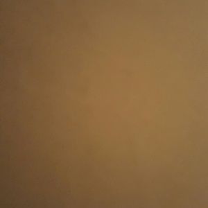 Meet your Posher, Renae