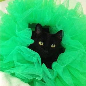 Meet your Posher, Tamara