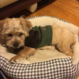 Meet your Posher, Giselle