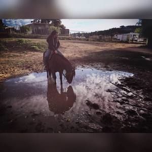 Meet your Posher, Lindsey