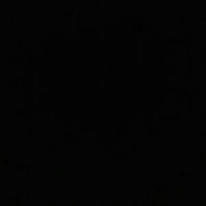 Meet your Posher, Mona