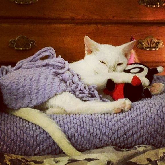 Meet your Posher, Megan - Picture 2 of 2