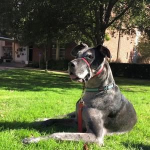 Meet your Posher, Edith