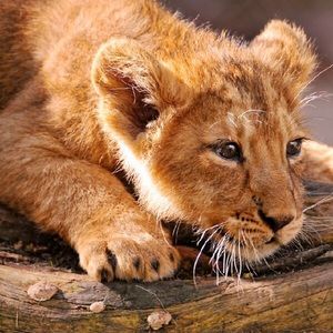 Meet your Posher, Bethany