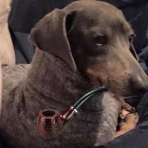 Meet your Posher, Jim