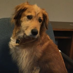 Meet your Posher, Jill