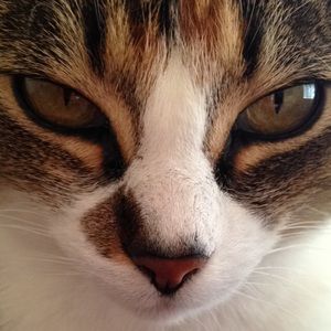 Meet your Posher, Cienna