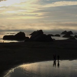 Meet your Posher, Angel