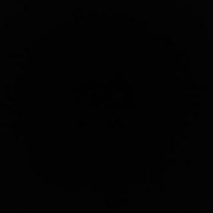 Meet your Posher, D'andre