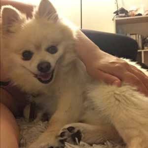 Meet your Posher, Marie