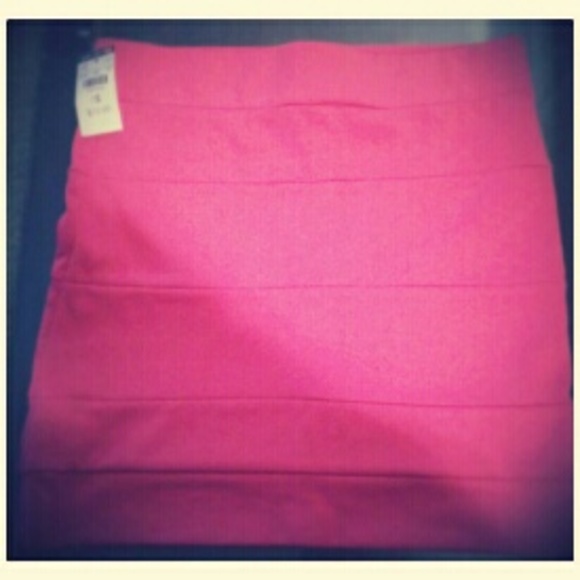 Nwt..skirt