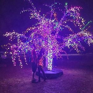 Meet your Posher, Tatiana