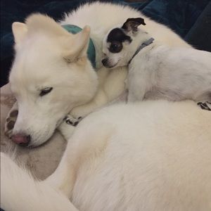 Meet your Posher, Brittany