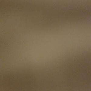 Meet your Posher, Dan