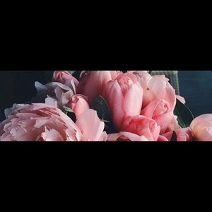 Meet your Posher, Briana