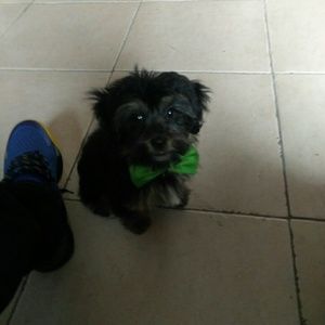 Meet your Posher, Jaime