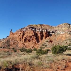 Meet your Posher, Pedro