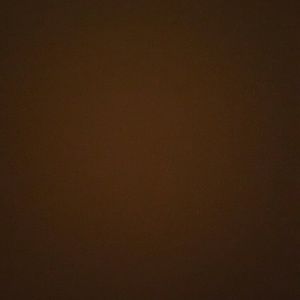 Meet your Posher, Tisha