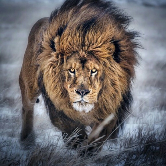 Meet your Posher, Christy - Picture 1 of 1