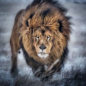 Meet your Posher, Christy